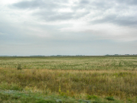 Село Крыловка