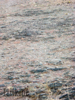 Гора Преображенская. 2009 год